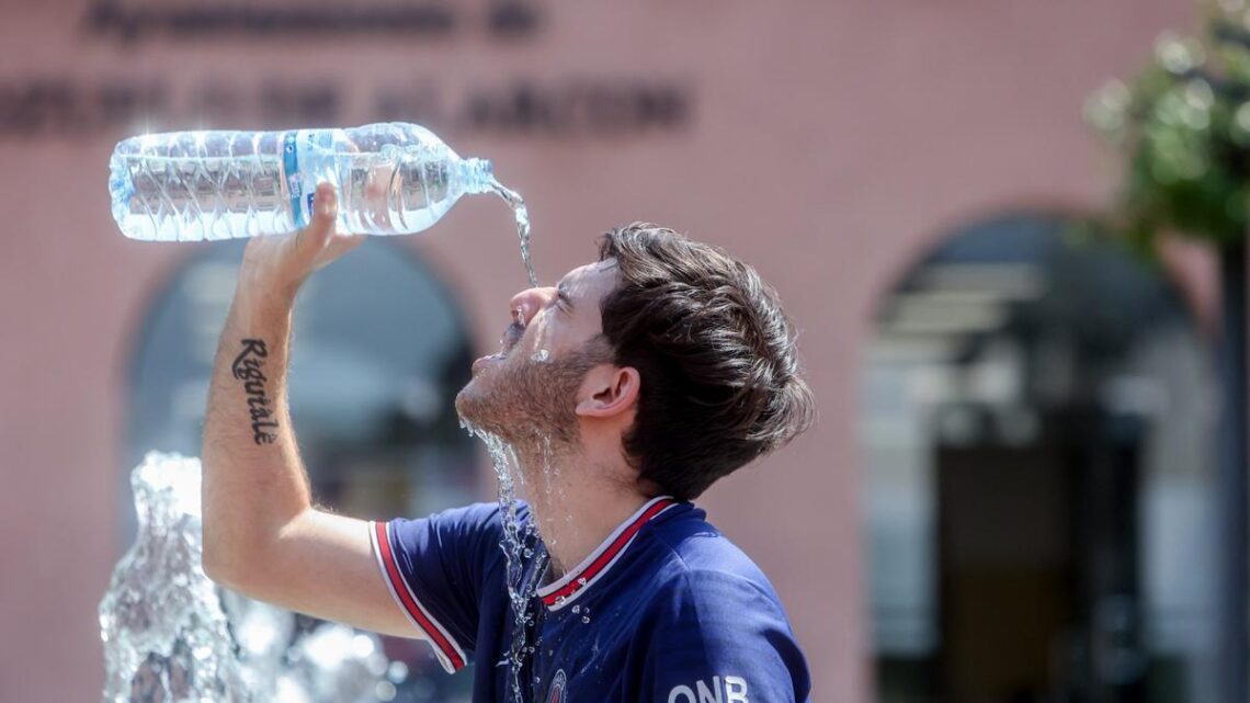 Al menos 15 mil muertes en Europa, en 2022, están relacionadas con el calor: OMS