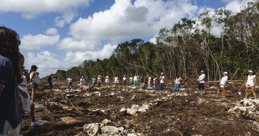 México debe garantizar respeto al medio ambiente con Tren Maya: ONU