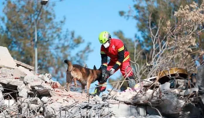 Delegación mexicana ha recuperado 11 cuerpos tras terremoto en Turquía