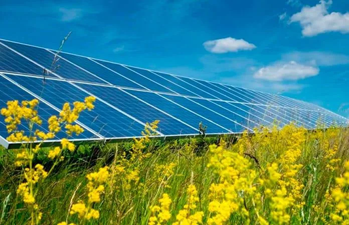 La CFE planea iniciar en abril un proyecto de energía solar