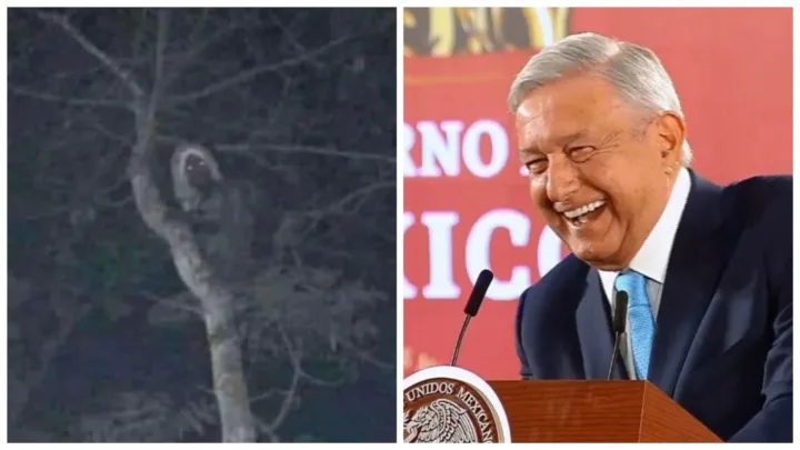 Si los aluxes no existen, habría que inventarlos: López Obrador