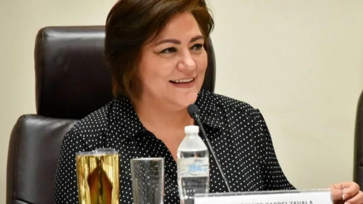 INE: Guadalupe Taddei Zavala es elegida como nueva presidente del organismo