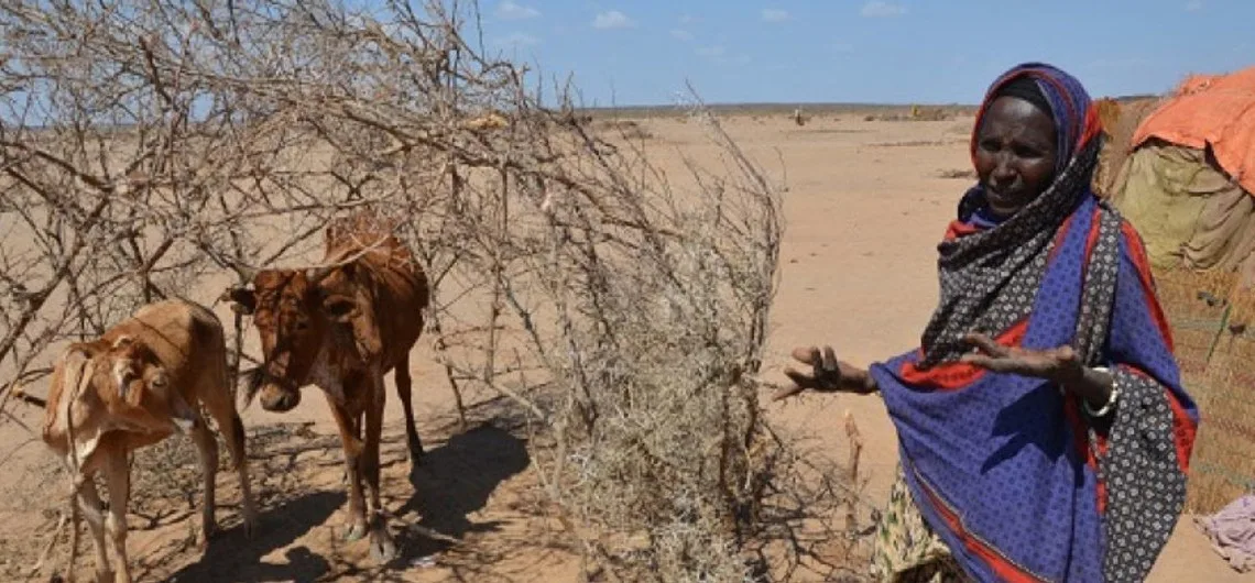 Advierten episodio cálido con récord de temperaturas tras fin del fenómeno “La Niña”