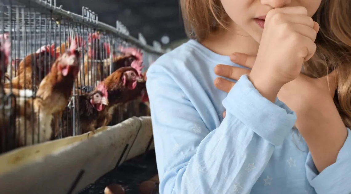 ¡Otro caso de gripe aviar H3N8! China detecta el contagio de una mujer