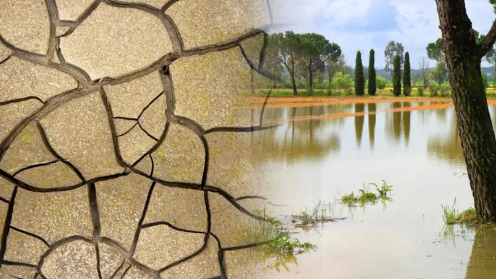 Posibles sequías en América ante la llegada de “El Niño”, advierte la FAO