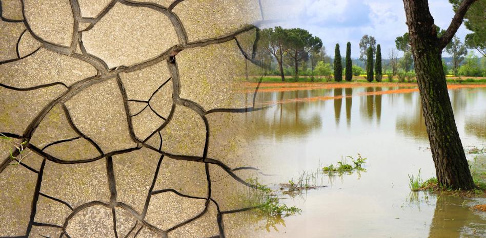 Posibles sequías en América ante la llegada de “El Niño”, advierte la FAO