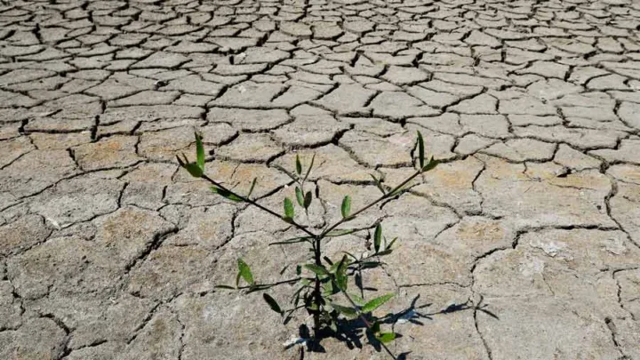 Cambio climático: Sequías, olas de calor e incendios azotaron América Latina en 202