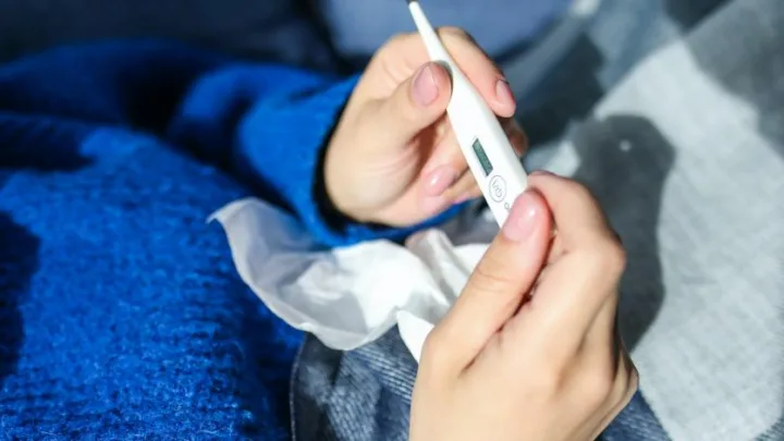 ¿Qué es la Rickettsia o “fiebre manchada” y cómo se contagia?