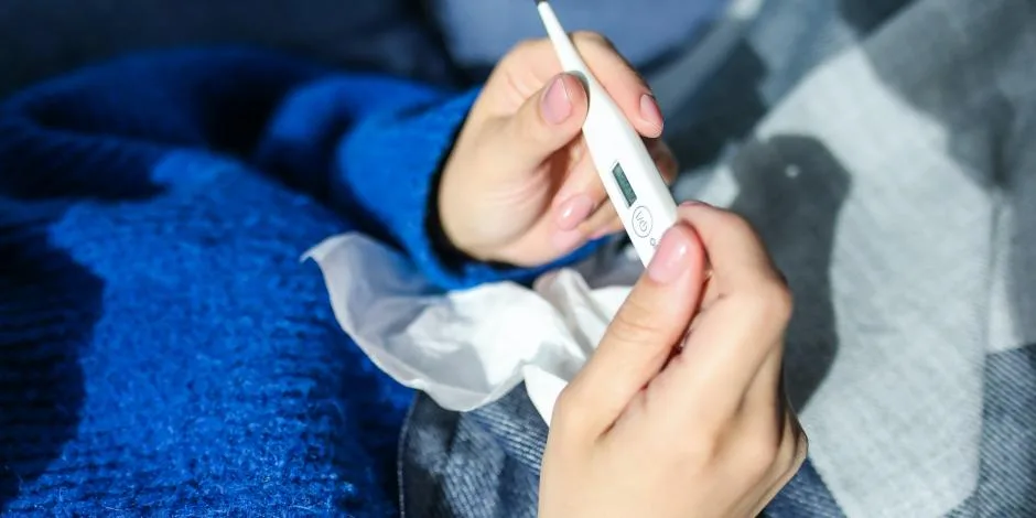 ¿Qué es la Rickettsia o “fiebre manchada” y cómo se contagia?