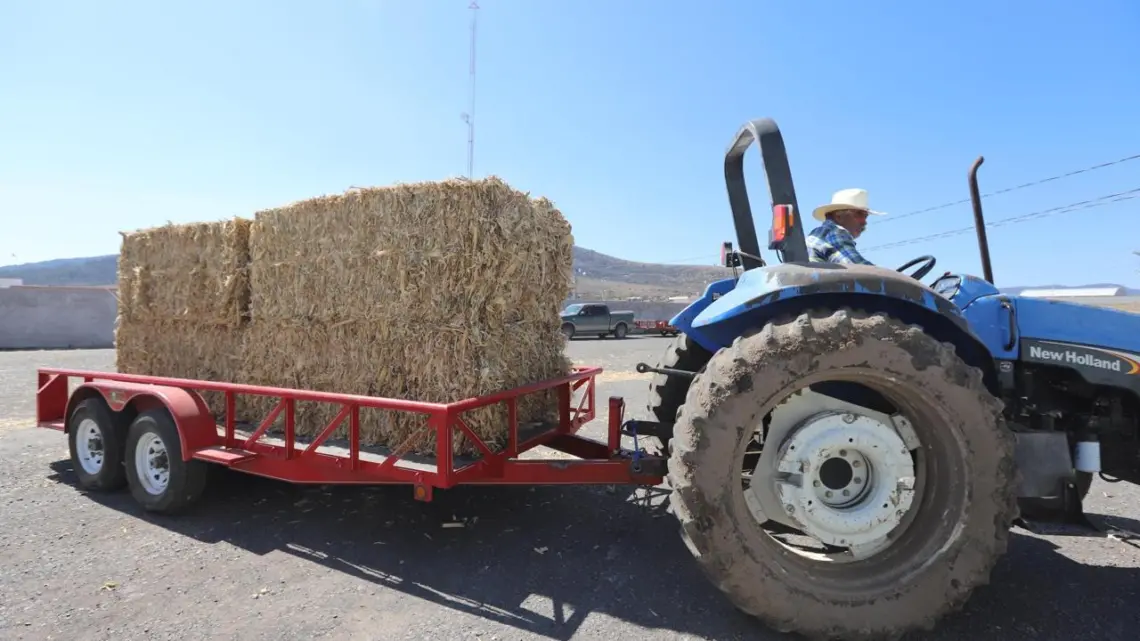 Entrega SEDEA más de 200 toneladas de forraje a ganaderos de Huimilpan y El Marqués 