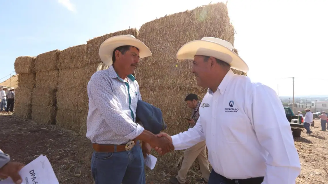 Entrega de pacas de forraje registra 85% de avance