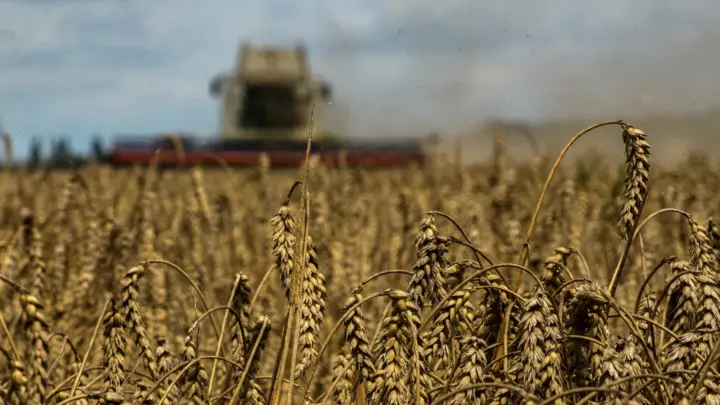 La ONU intenta que Rusia extienda el acuerdo de exportación de cereales de Ucrania
