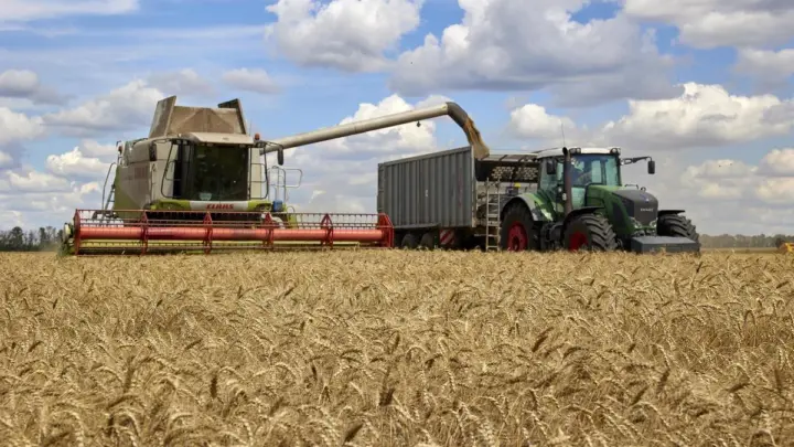 Rusia congela el acuerdo de guerra para exportar grano ucraniano
