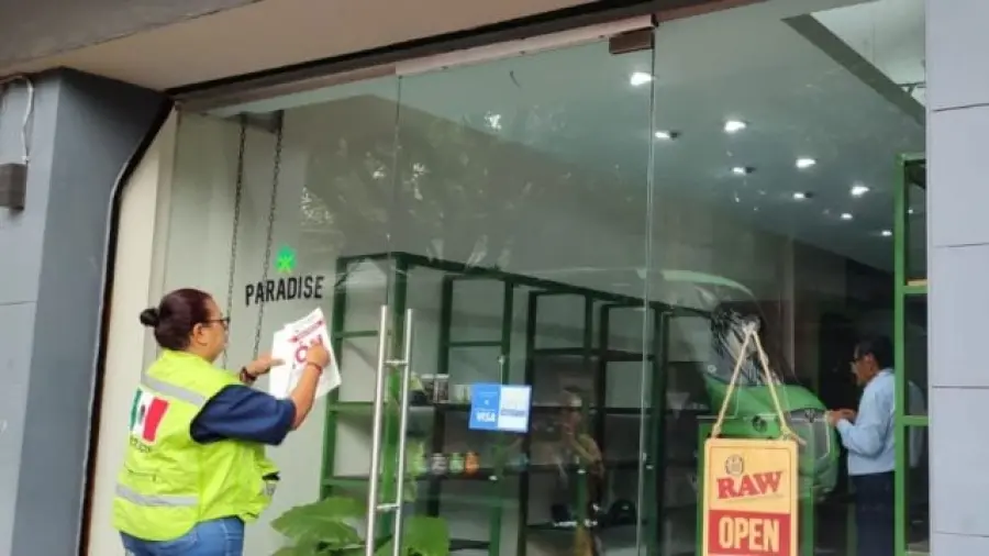 Clausura Cofepris sucursales de empresa de cannabis vinculada a Fox