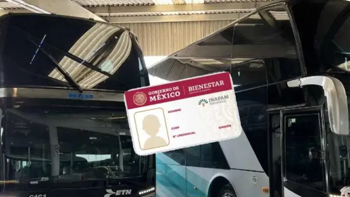 ¿Adultos mayores con INAPAM reciben aguinaldo y utilidades? Esto dice la ley