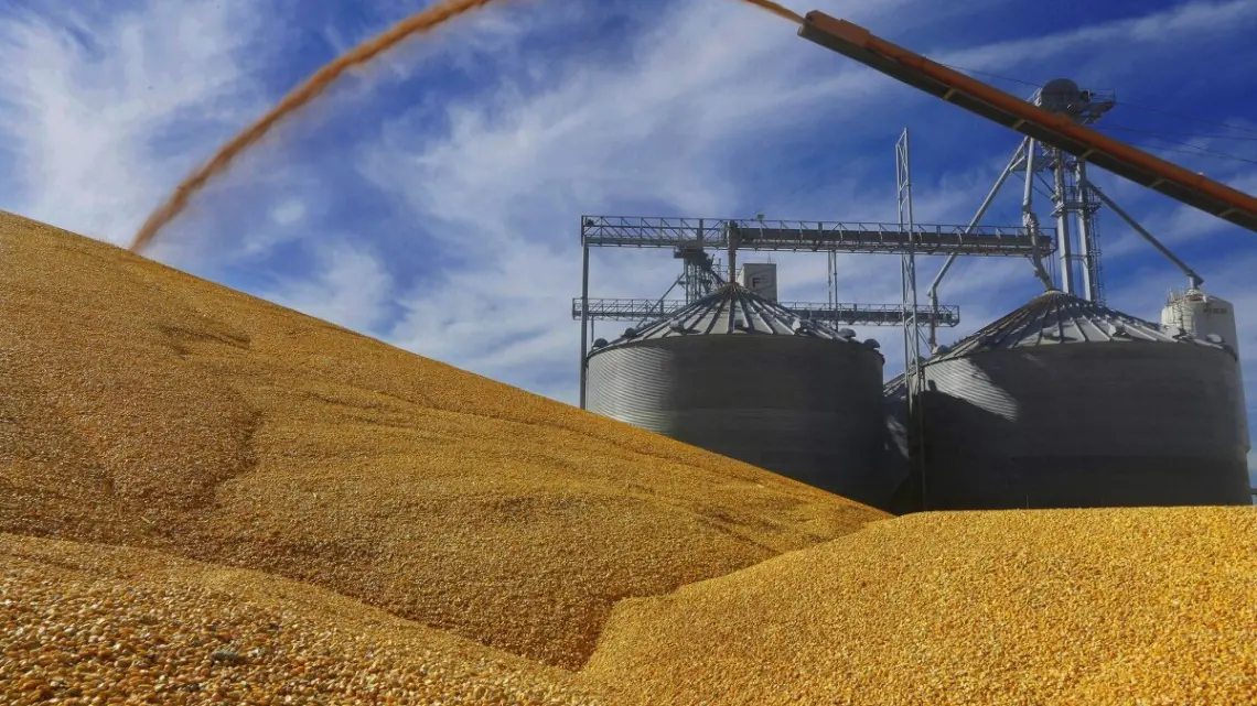 EU intensifica disputa con México por maíz transgénico
