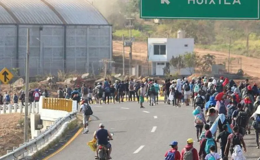 Crisis migratoria detiene las primeras plantas industriales