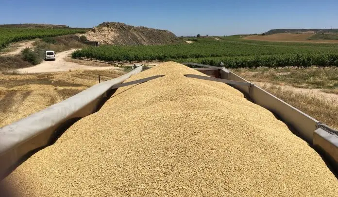 Zelensky promete a Kenia establecer un “centro de cereales” en el puerto de Mombasa