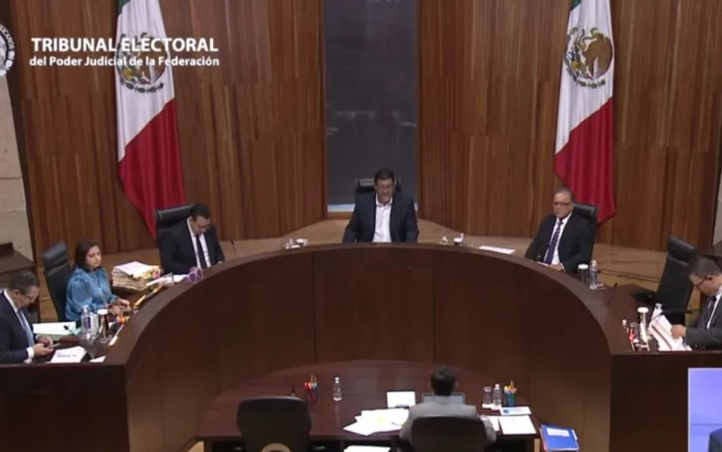 Tribunal Electoral cambia fecha de inicio de precampañas electorales