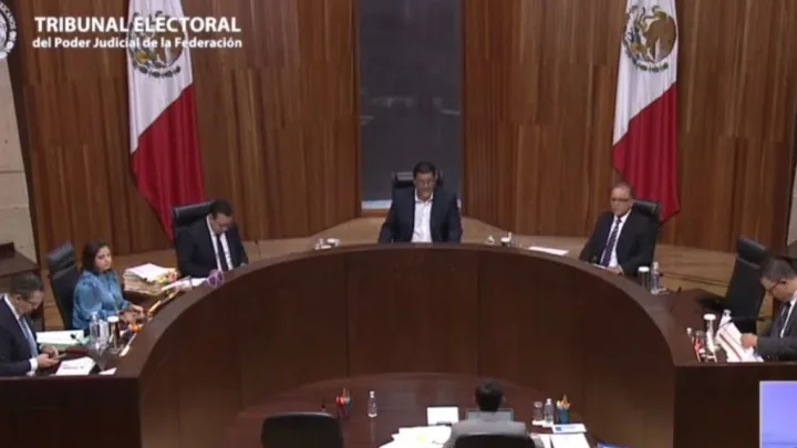 Tribunal Electoral cambia fecha de inicio de precampañas electorales