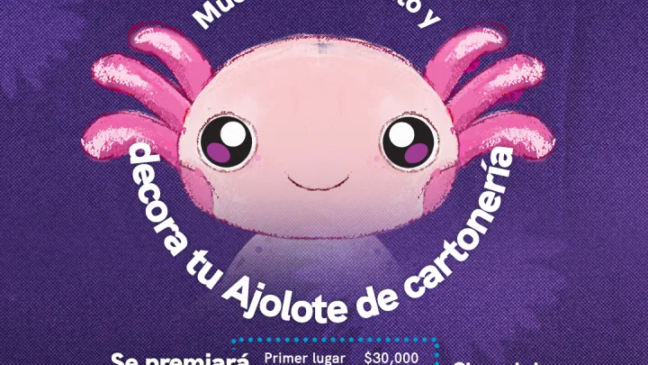 Invita titular de SEJUVE a participar en la convocatoria Creajolote