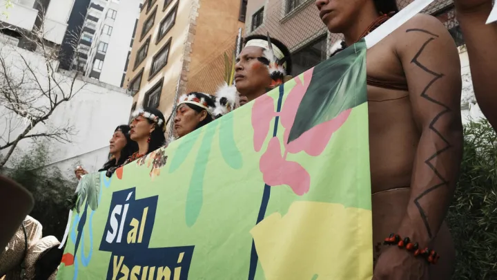 Yasuní se ganó una batalla, pero falta ayuda para ganar la guerra