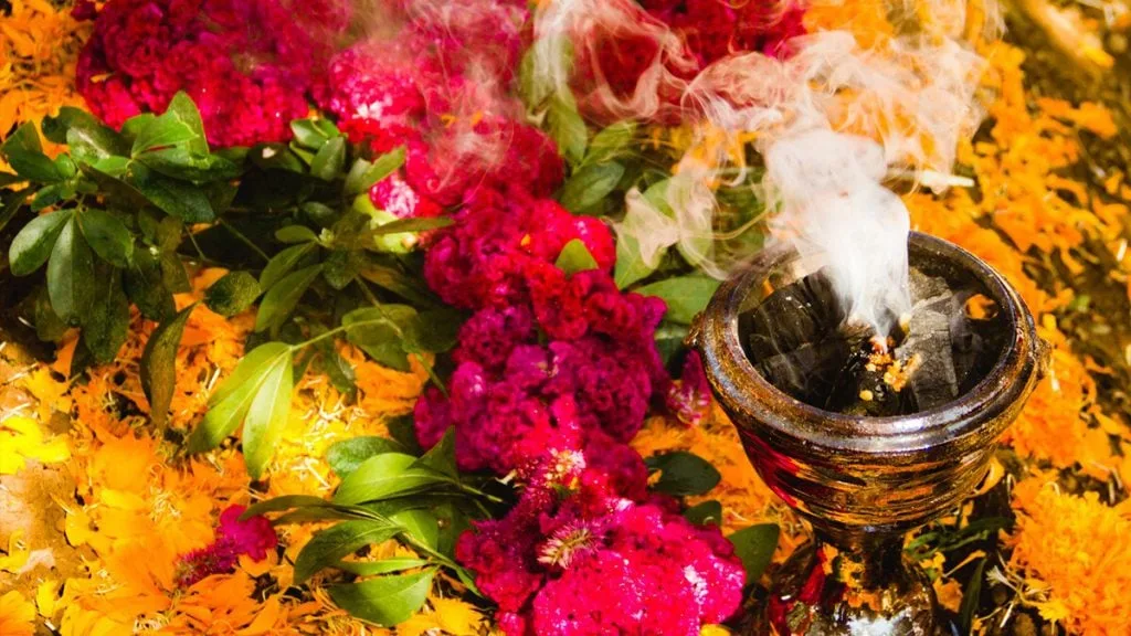 “Prohibición de una Flor en Estados Unidos para los Altares del Día de Muertos”