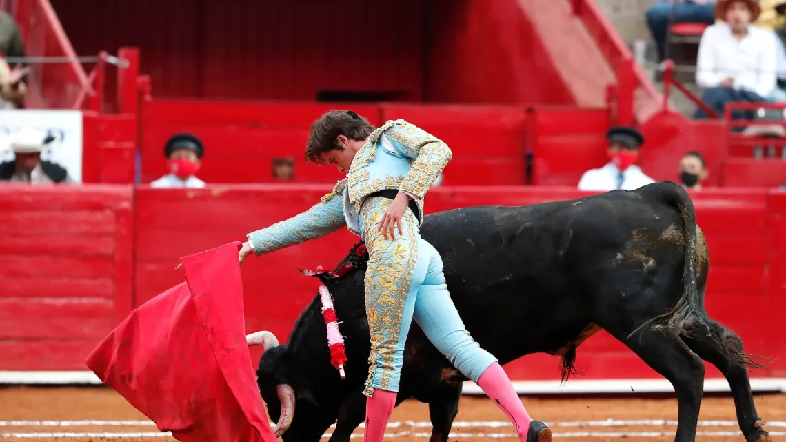 “Amparo Contra Corridas de Toros: Perspectivas y Afectaciones”