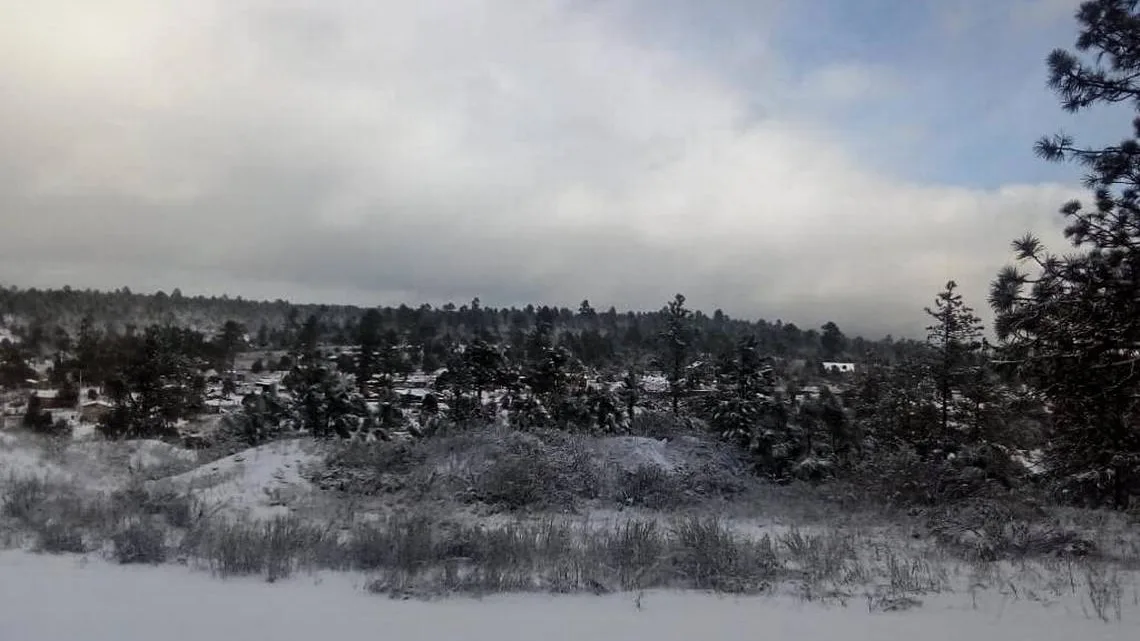 Estas zonas del país registrarán caída de nieve esta noche