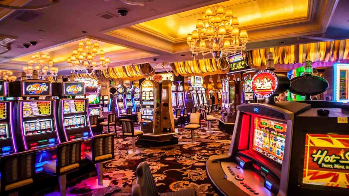  “Empresarios de Casinos Albaneses Desmienten Vínculos con Cárteles: Acusan una Guerra Entre Casineros”