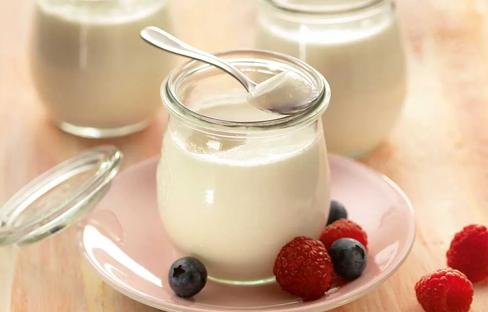 ¿Qué tan bueno es el yogur griego? Profeco revela cuáles son las mejores y peores marcas