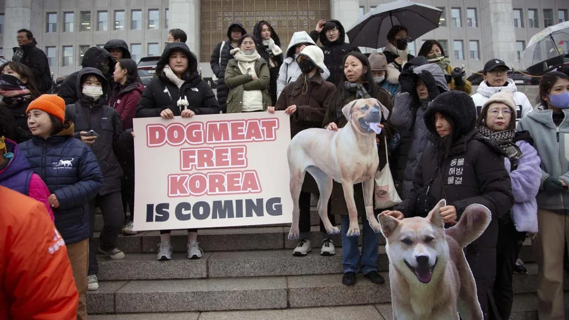 “Corea del Sur Prohíbe el Consumo de Carne de Perro a Partir de 2027”