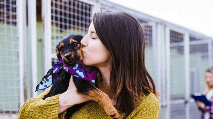 “Adopta un Amigo, Aligera tu Bolsillo”