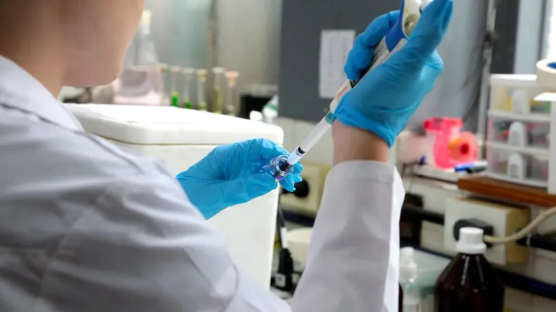 “Alerta Mundial: ¿Qué es la Enfermedad X y por qué preocupa más que el COVID-19?”    “Alerta Mundial: ¿Qué es la Enfermedad X y por qué preocupa más que el COVID-19?”