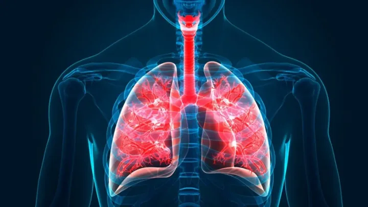 “Un Giro Mortal: La Hipoxia por Nitrógeno en el Centro del Debate”   