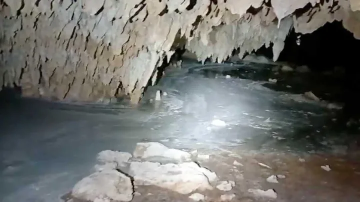 “Impacto Ambiental: Ríos de Cemento del Tren Maya Contaminan Acuífero en Cuevas de ‘Garra de Jaguar'”   