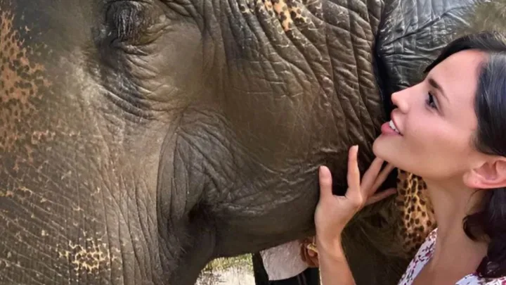 Eiza González comparte momentos mágicos conviviendo con elefantes en un santuario de Tailandia