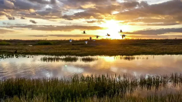  “Cambio Climático, Incendios y Minería Deterioran los Humedales en Bolivia”