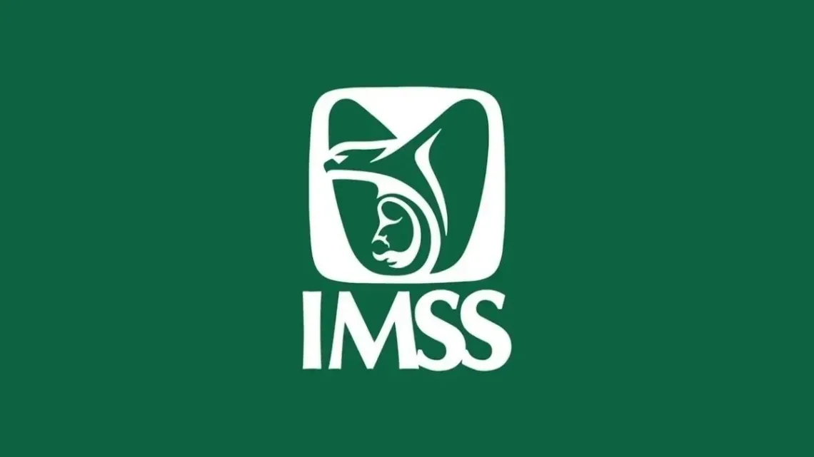 Incorporación al IMSS para trabajadores independientes: ¡Descubre cómo acceder a sus prestaciones!