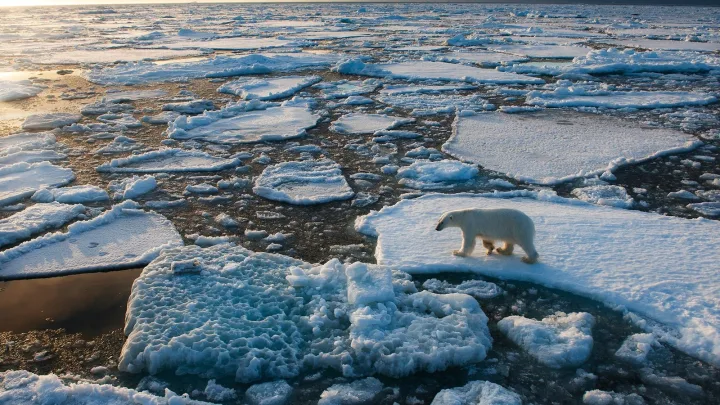  “Alerta roja”: OMM advierte sobre calentamiento global