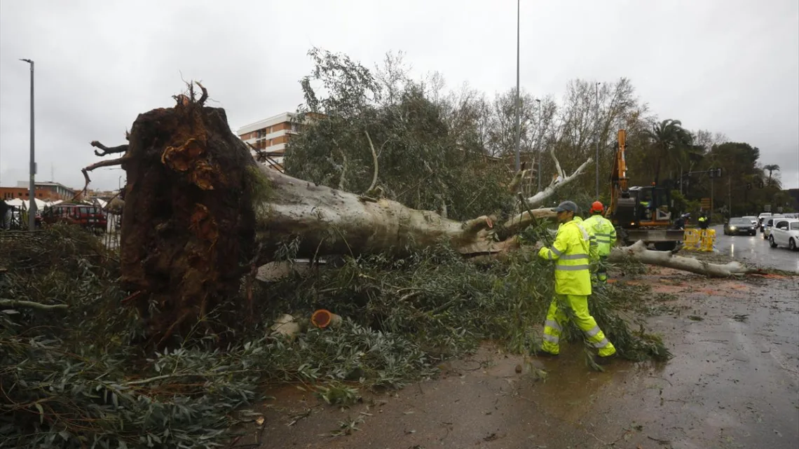 “Tragedia por temporal en Francia: Cuatro muertos y desaparecidos”