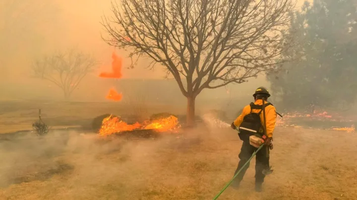  “Texas bajo amenaza: Fuertes vientos avivan incendios forestales”   