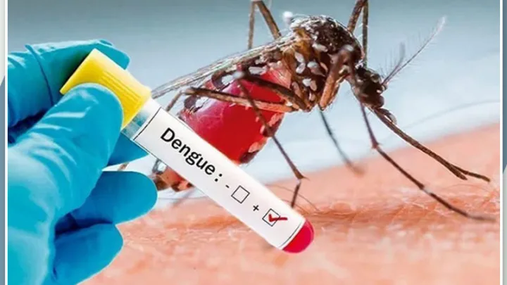 En México se dispara incidencia de casos de dengue