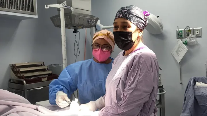 Se une la Secretaría de Salud a la conmemoración del Día Internacional y Día Nacional de la Enfermería