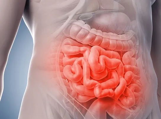 Se suma SESA a la conmemoración del Día Mundial de la Enfermedad Inflamatoria Intestinal