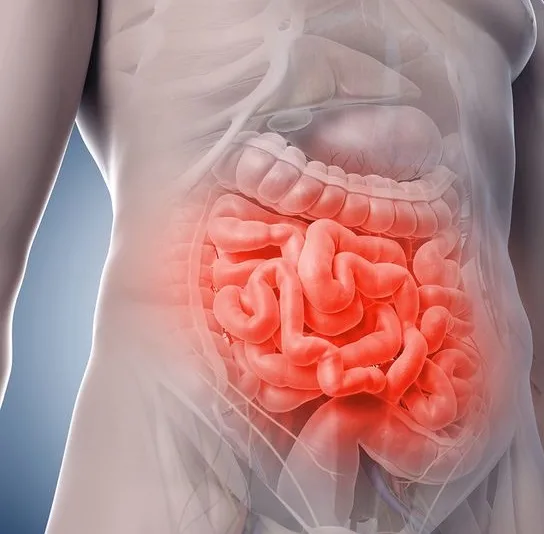 Se suma SESA a la conmemoración del Día Mundial de la Enfermedad Inflamatoria Intestinal