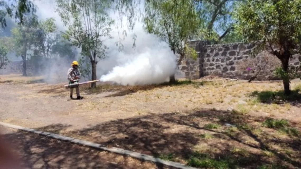 La Secretaría de Salud lleva a cabo vigilancia epidemiológica de dengue