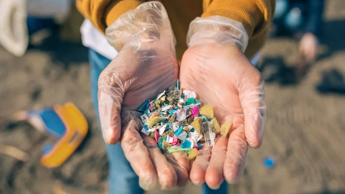 Malasia catalogado como el país más consumidor de microplásticos por la contaminación de alimentos