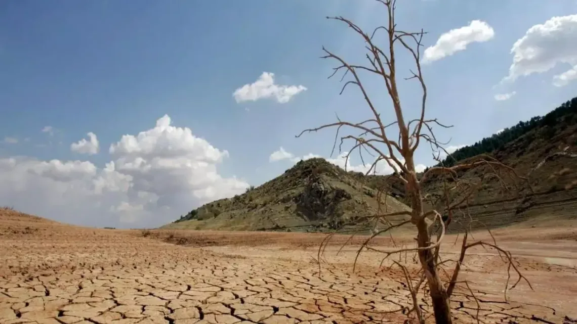 ONU Urga a Combatir la Desertificación Global   