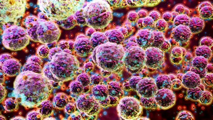 Alerta en Japón por la Bacteria Carnívora   
